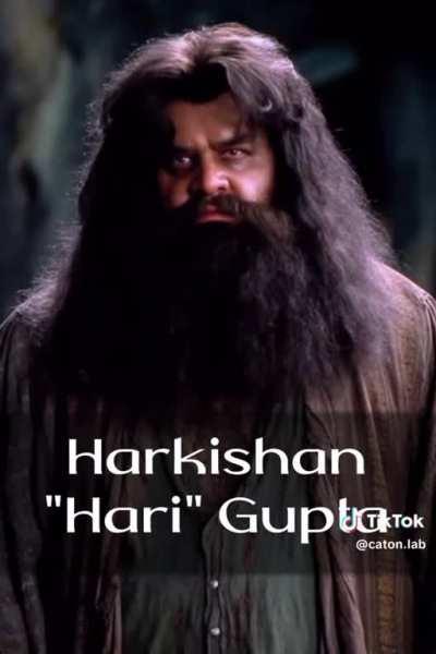 hindu World Order: Hogwarts edition