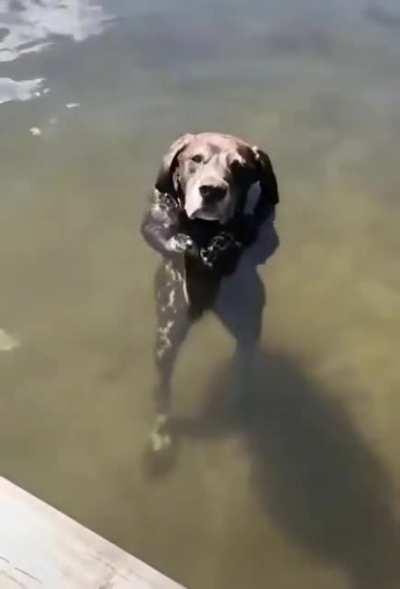 Can you get me out human?