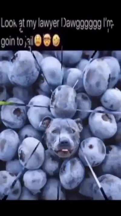 R/ hastag relatable!!!