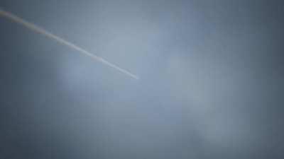 It's a thing of beauty