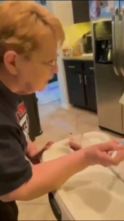 Here comes the Airplane