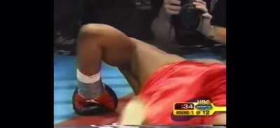 This Leaping Left Hook/Uppercut hybrid thrown by Roy Jones Jr. in the first round to avenge a questionable Disqualification loss. My favorite punch ever thrown. Happy 1Million FightPorn.