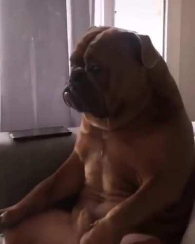 Seriously man, why are we still watching this?