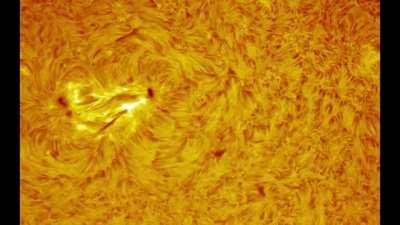 The Sun in Hydrogen Alpha, 6 hour animation from 20 June 2022