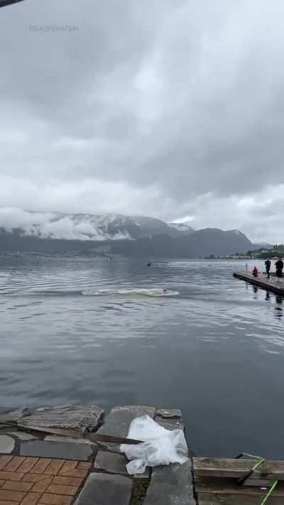 *Bulk Detonator  Spawns* Immediately, the average scout: