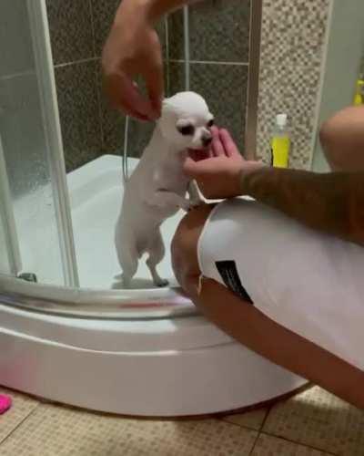 A tiny criminal behaving well