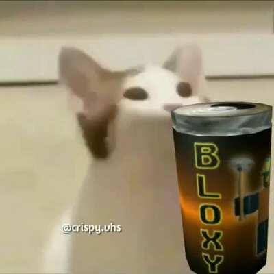 Fuck bepsi i only drink B L O X Y