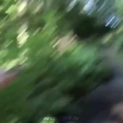 Karens apenas karens