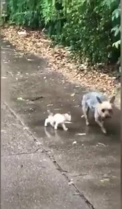 I know its rainy but still try to help ok