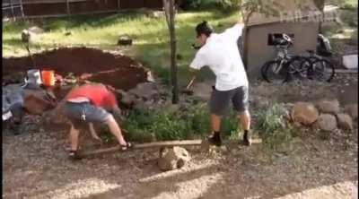 The helicopter whack