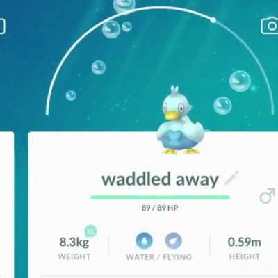 What do you do with 238 Ducklett? This of course.