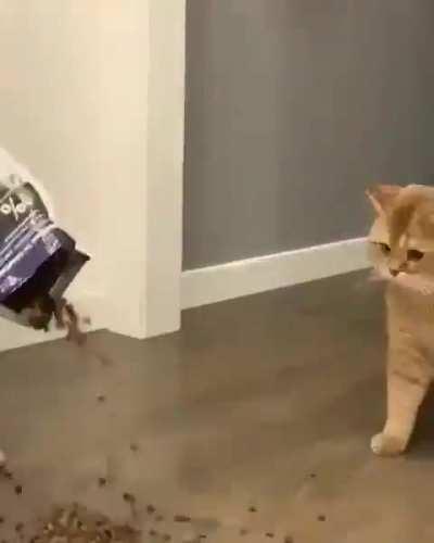 Isn't that excessive??.........