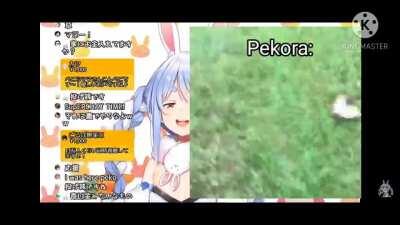 Conejo loco over mom vtuber