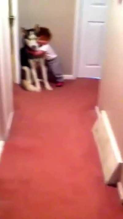 He protecc, He protecc, he always protecc