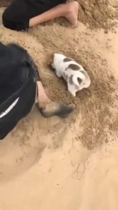 What can happen when you dig holes?