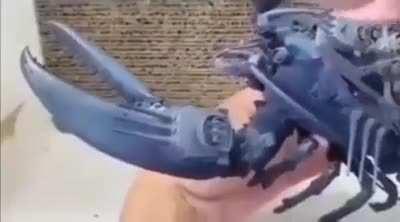 We can rebuild him 2 