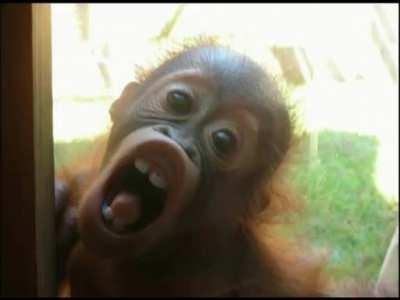 orslok te echo de menos :(