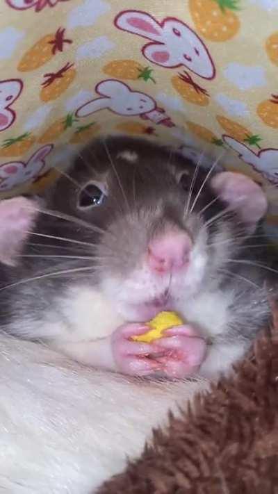 No thoughts behind those eyes