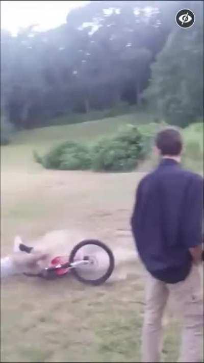 This has probably been posted but it’s still gnarly