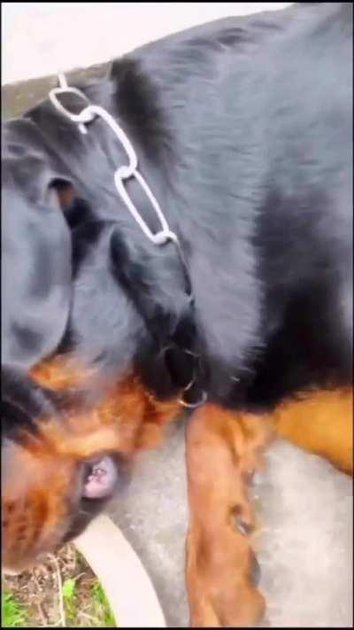 Long-awaited Reunion