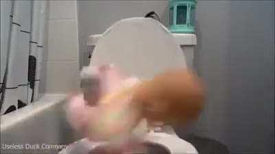 Algu&eacute;m sabe onde compro um desses?