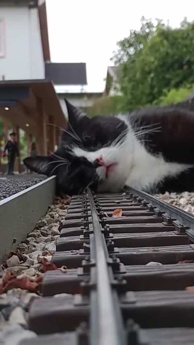 Sir? You can't park there...