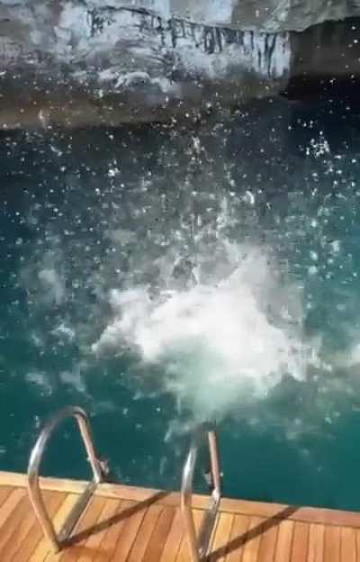 ‘absolutely heaven’ ~ IG August 2025