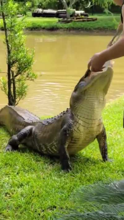 Dude recording could not believe his eyes .