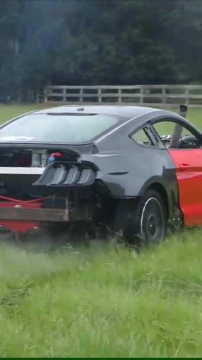 Posted this in another sub, was told to post it here to see what yall thought about it