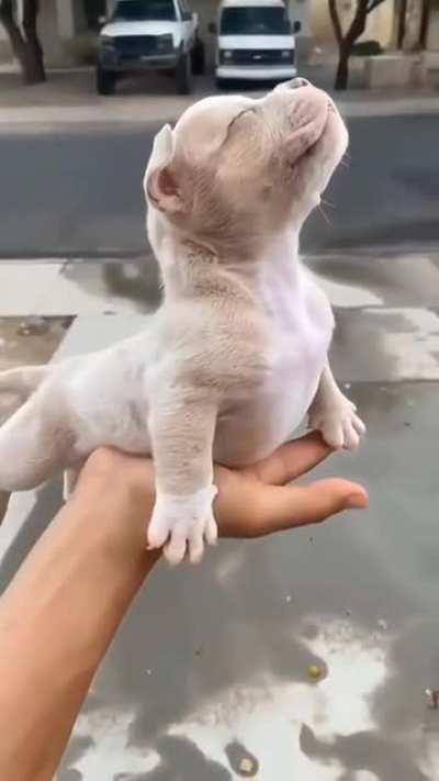 The HERO the world needs!