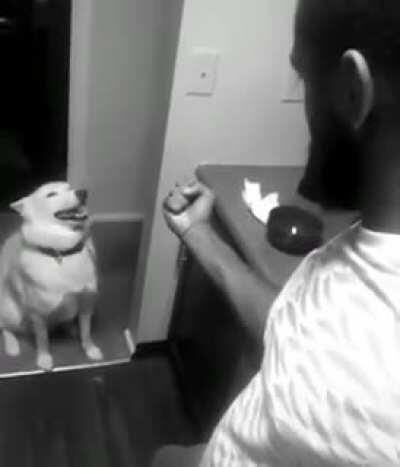 Found this video recently, been watching it everyday since.