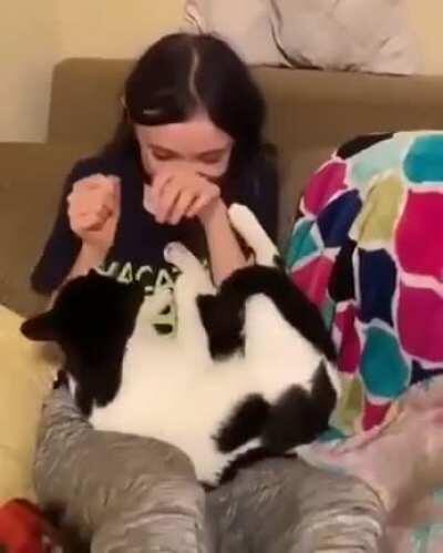 Please allow me to sit on your lap, hooman!