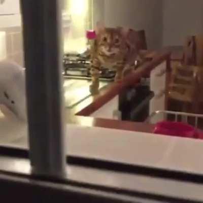 That's some weeping angel stuff right there