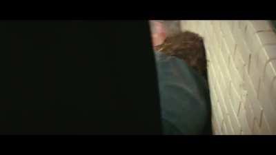 Michael Scott as Batman