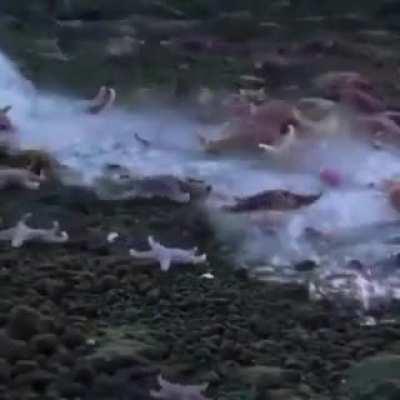 🔥 A brinicle, Sometimes huge ice stalactites form literally out of nowhere in the sea, stretching from the surface to the bottom. This phenomenon is called the 