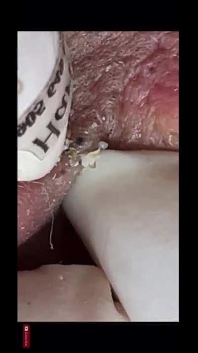 A little sped up and trimmed. Full video in comments!