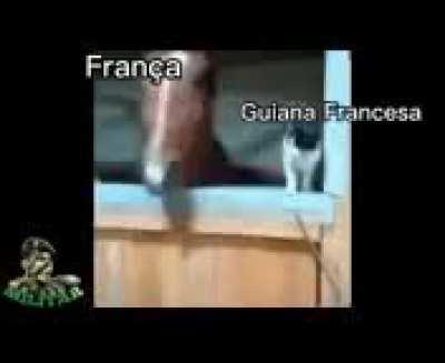 America latina resumida: