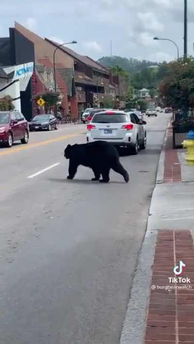 This dude really is the MC