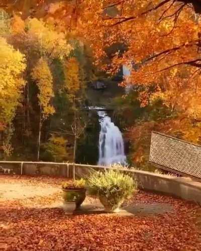 🔥 Giessbach Falls, Switzerland 🔥