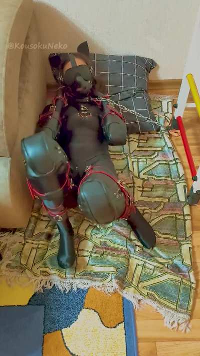 Imagine falling asleep in your own bed, only to wake up chained, dressed in a bitchsuit, blindfolded, and gagged. What would you feel, and what would you do