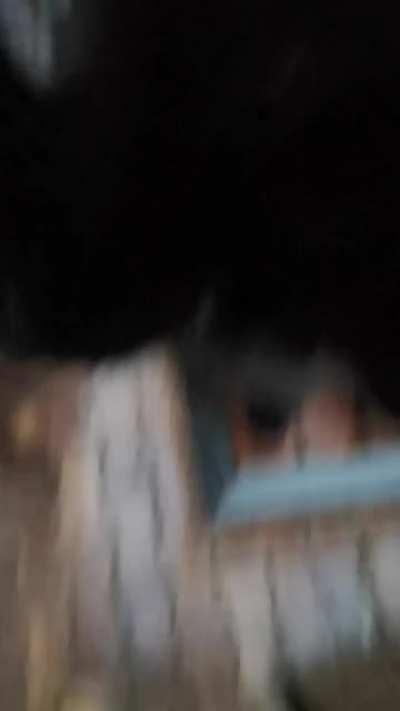 Fred wishes everybody a good morning :)