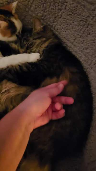 These gals deserve all the pets...