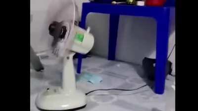 For sale electricfan. Issue: humahabol.(CTTO)