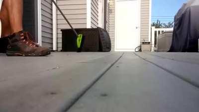 Lesson learnt - Don't trap a racoon and proceed to curse at him...