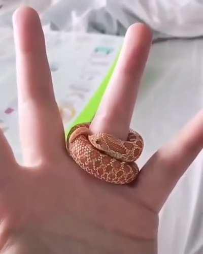 HelPlEsS MaN LoSeS finGeR aFteR VioLeNt stRanGuLation