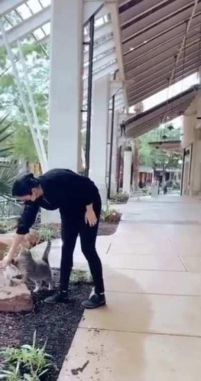 Breakfast at Tiffany's