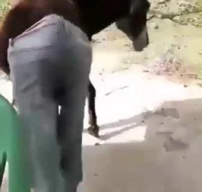 Deus abençoou 😭🙏