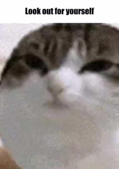 I'm 15 and this is yeet