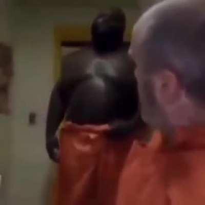 It was a nice video call until