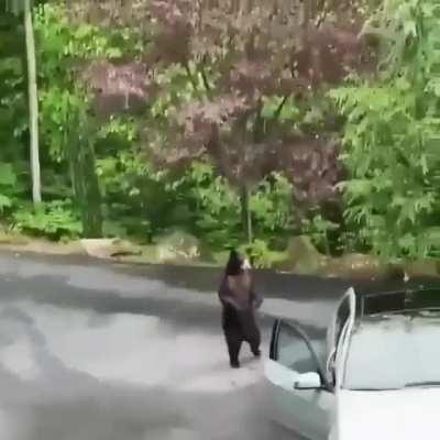 Don't f*ck with the Mercedes!! AHHHHH